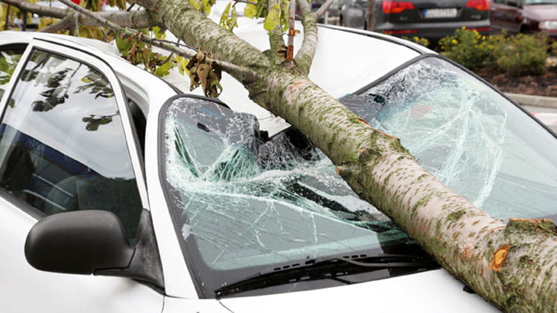 Ratgeber: Tipps bei Schäden an der Windschutzscheibe - Auto