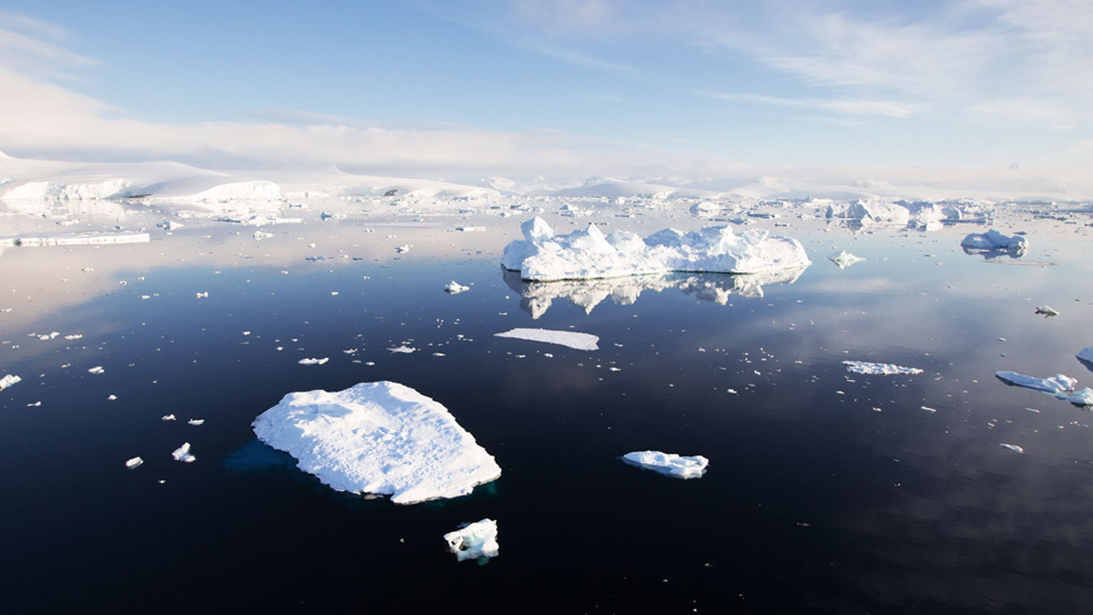 Im Meer schwimmende Eisschollen mit Eisbergen im Hintergrund sind ein Symbol für die Folgen des Klimawandels.