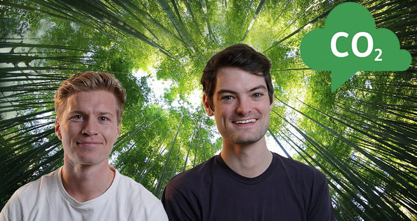 Treeconomy: Make forests and reforestation investable